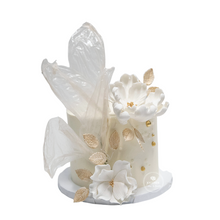 Load image into Gallery viewer, Modern Translucence Cake