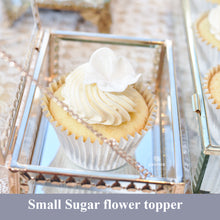 Load image into Gallery viewer, Cupcakes