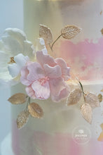 Load image into Gallery viewer, Colour Gradience