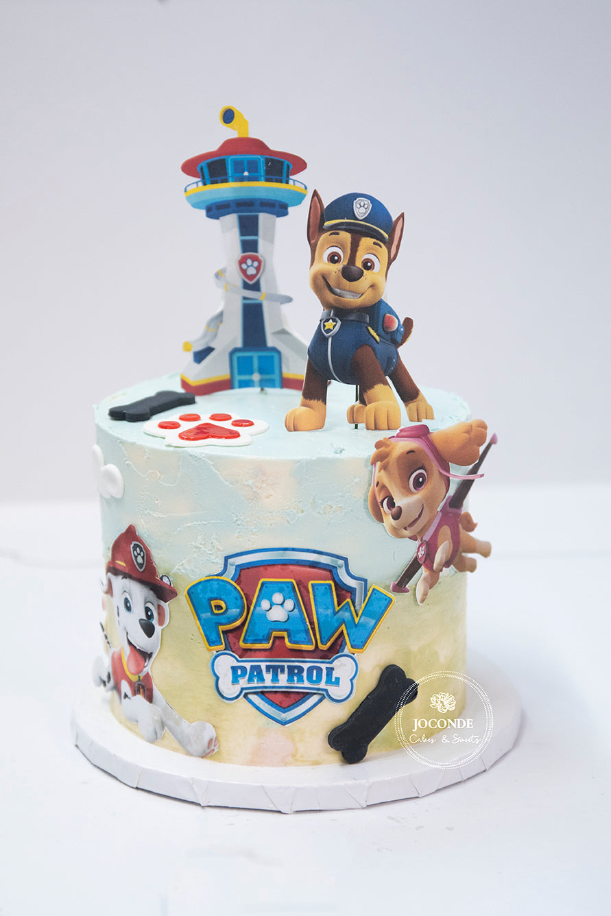 Paw Patrol Birthday Cake – Joconde Cakes & Sweets